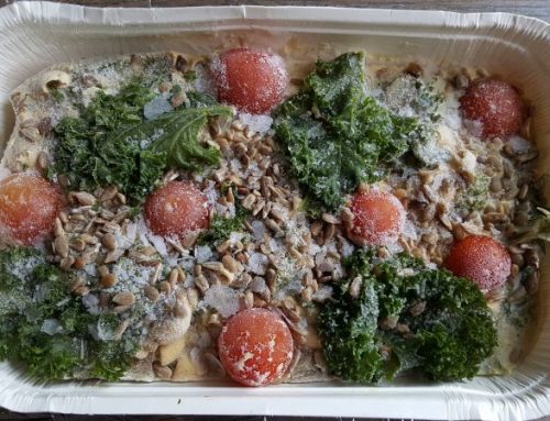 PLANT POWER – PLANT BASED CHEFS CREATE AMAZING FROZEN MEALS DELIVERED TO YOUR DOOR